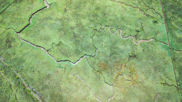 istock aerial view of marshland 1154141813