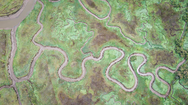 istock aerial view of marshland 1154143395