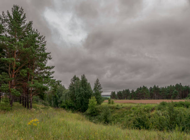 istock Beautiful landscape with summer forest and sunset 1154146681