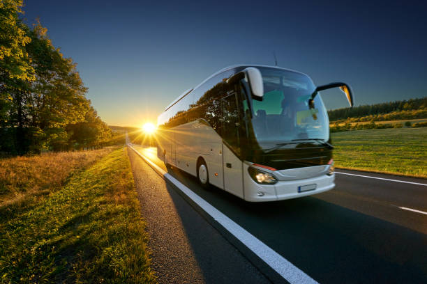 autobus bianco che viaggia sulla strada asfaltata intorno alla linea di alberi nel paesaggio rurale al tramonto - autobus foto e immagini stock