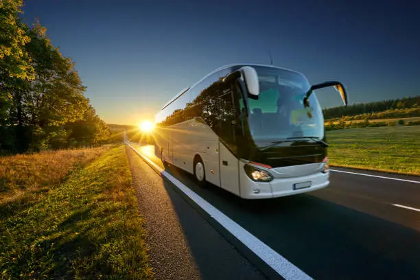 White bus traveling on the asphalt road around line of trees in rural landscape at sunset