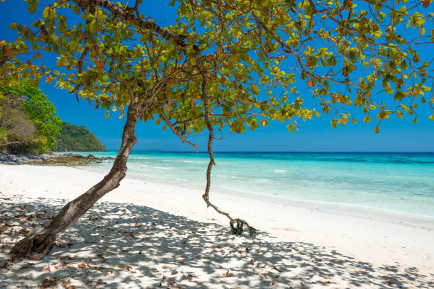 istock Beautiful beach at tropical island 1154154841