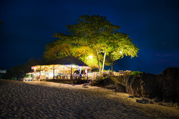 Restaurant at sand beach on blue night sky background Illuminated restaurant at sand tropical beach under big tree on blue night sky background goa beach party stock pictures, royalty-free photos & images