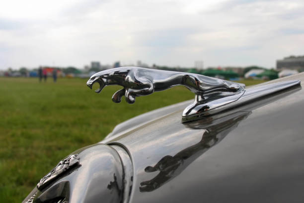 ornamento da capa do carro de esportes jaguar. jaguar no salto, close up do fundo do campo - hood ornament - fotografias e filmes do acervo