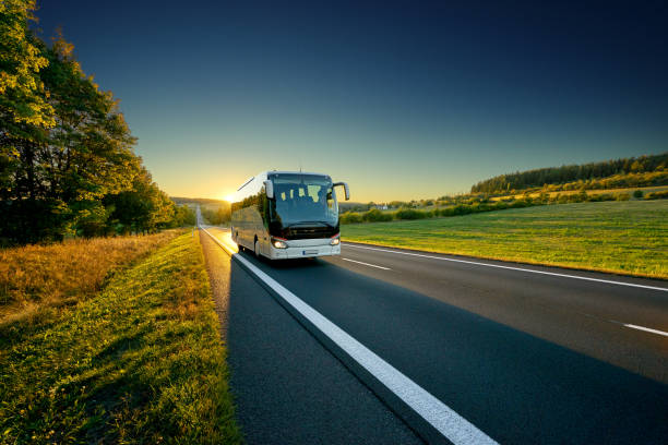 autobus bianco che viaggia sulla strada asfaltata intorno alla linea di alberi nel paesaggio rurale al tramonto - bus foto e immagini stock