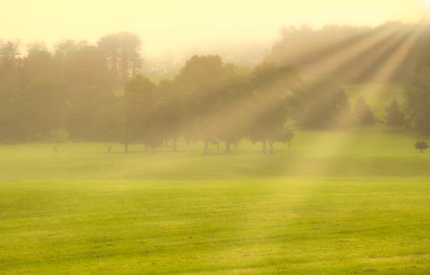 Golden Summer Dreamy morning scenery at Far Hills, New Jersey featuring sun rays beaming through the trees on foggy morning at Sunrise gladstone new jersey stock pictures, royalty-free photos & images