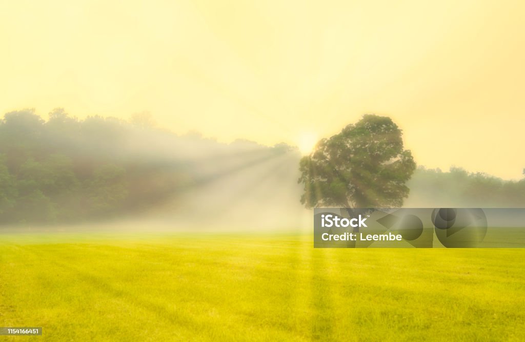 Golden Summer Dreamy morning scenery at Far Hills, New Jersey featuring sun rays beaming through the trees on foggy morning at Sunrise Landscape - Scenery Stock Photo