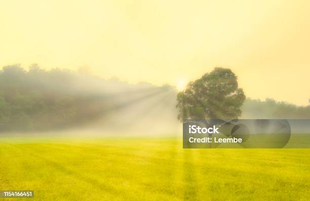 Golden Summer Stock Photo - Download Image Now - Landscape - Scenery, New Jersey, Agricultural Field