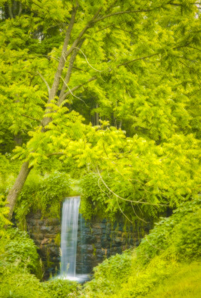 Lovely Hidden Waterfall Beautiful hidden small waterfall at Natirar park  Peapack-Gladstone, Far Hills and Bedminster, in Somerset County, New Jersey, United States gladstone new jersey stock pictures, royalty-free photos & images