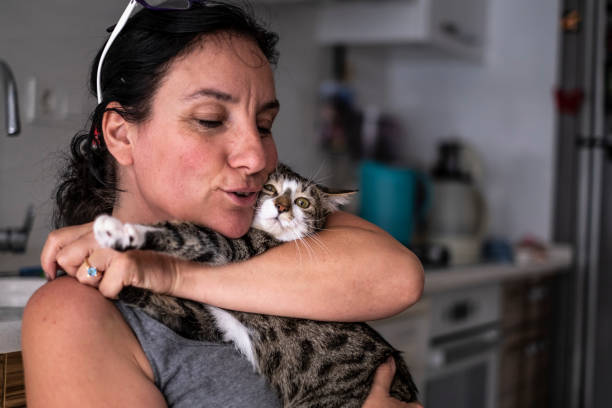 istock Pet Owner & Cute Tabby Cat 1154168305