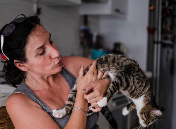 istock Pet Owner & Cute Tabby Cat 1154169265
