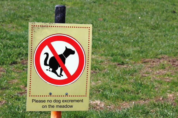 istock Sign with Please no dog excrement on the meadow 1154184424