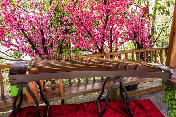 Guzheng instrument on the background of beautiful blossom flowers at Tianmen Mountain. It is an ancient Chinese classical instrument. Zhangjiajie, Hunan, China