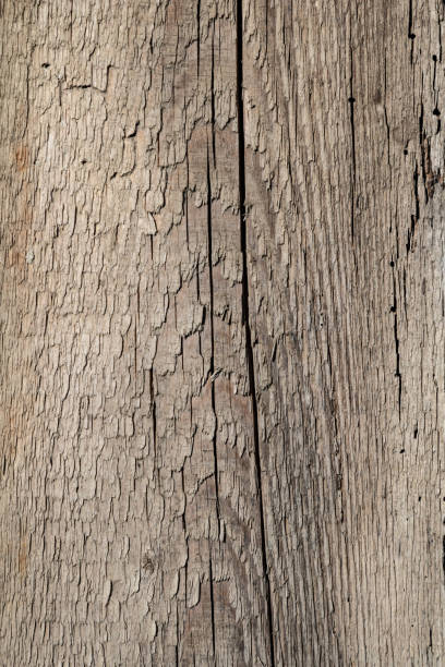 istock Natural aged weathered wood cracked surface texture 1154211812