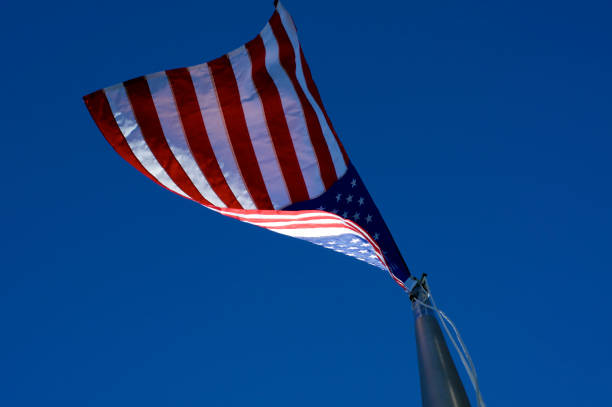 istock American flag blowing in wind from below 1154218401