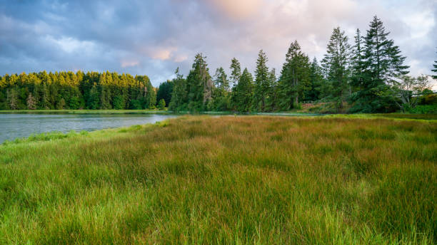 istock Oyster Bay Spring Colors 1154221033
