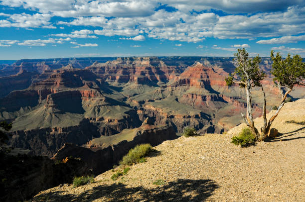 istock Grand Canyon National Park - Downstream View 1154235211