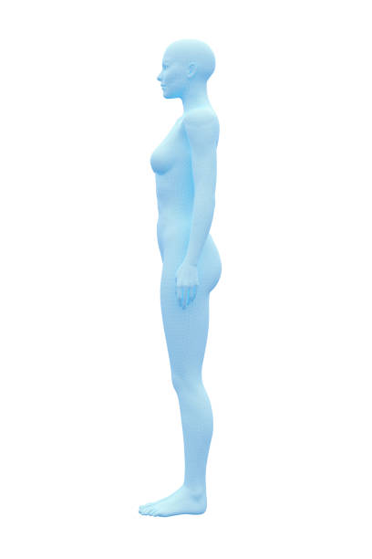 istock Human Body, Female, Woman 1154249986