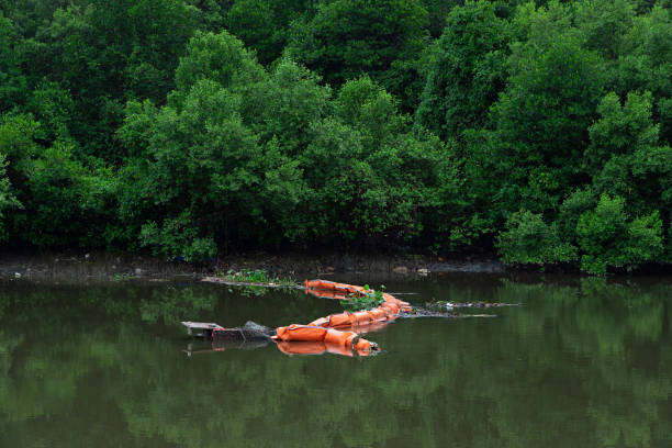 istock Orange garbage collecting net in small river and mangrove forest 1154251586