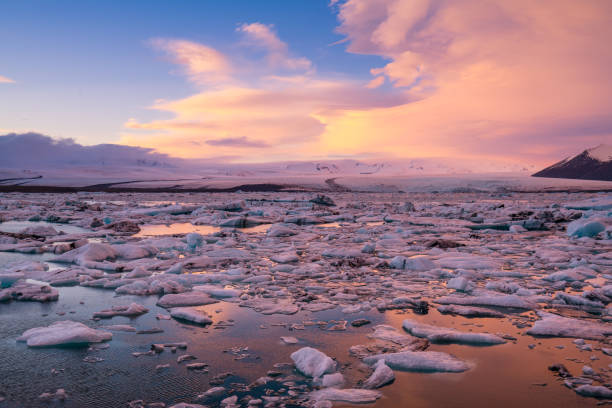 icebergs floating on the beach iceland - icecap imagens e fotografias de stock