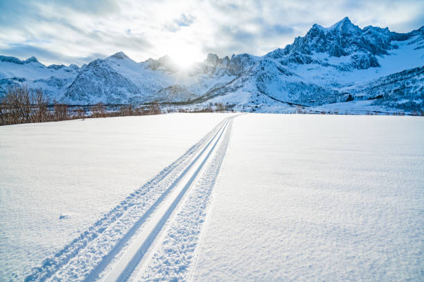 istock Winter sunset view on the road trip 1154254779