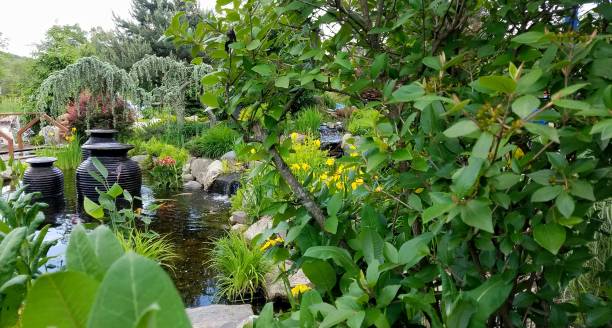 istock Zen Garden in the Summertime 1154265847
