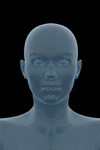 istock Human Body, Female, Woman 1154266258