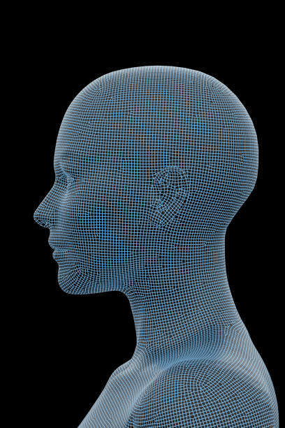 istock Human Body, Female, Woman 1154266274