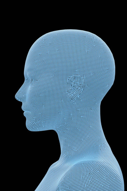 istock Human Body, Female, Woman 1154266406