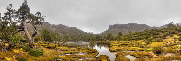 pool de bethesda - parque nacional das muralhas de jerusalém - fotografias e filmes do acervo