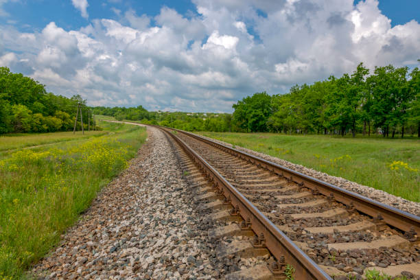 istock Summer landscape with railway, trees and wildflowers 1154276873