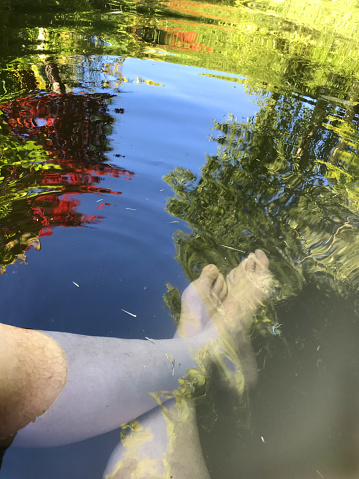Stock photo of man's feet cooling down, man's hairy legs, feet and toes dipped in cold pond water with koi carp fish swimming nearby, dipping feet into water to cool down on hot day in summer, reflections of garden