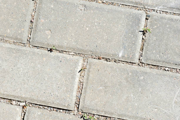 istock Gray paving slabs with green grass sprouts close up. Abstract background 1154283097
