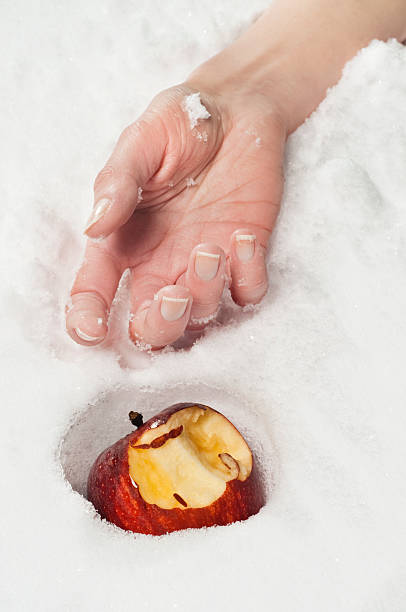 blanca nieves - drop red delicious apple apple fruit fotografías e imágenes de stock