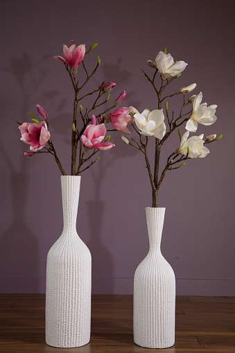 Design white tall vases branches magnolia tree blossom