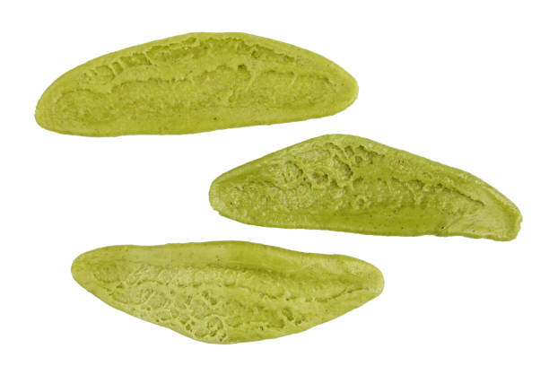 istock Green leaf shaped pasta made from eggs and spinach flour. Isolated 1154312974