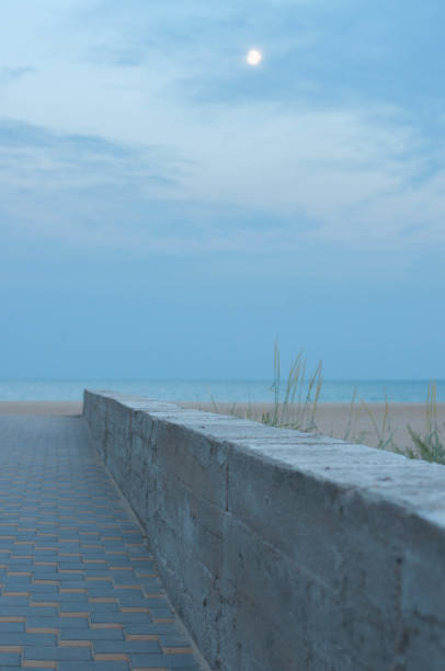 istock Chess pattern walkway near beach. Tranquil seascape in dusk with nobody and cement border between walkway and beach sand with high wild plants. Blurred moon in blue evening sky. Black sea landscape 1154315870