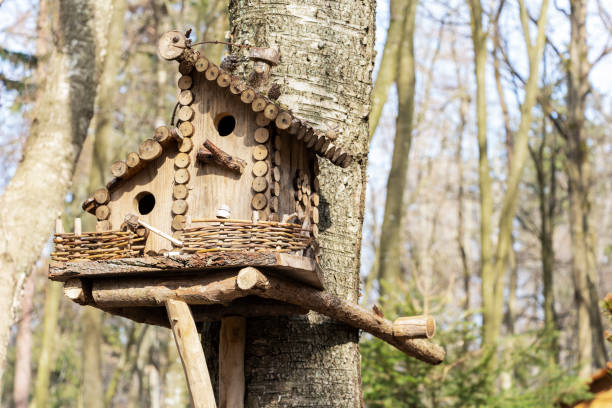 istock Birdhouse on a tree in the spring. Tree branch with a bird house. 1154316827