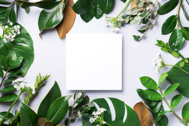 istock Summer and spring concept. Tropical nature background with green leaves and white empty square frame for copy space. Top view. Flat lay. Creative advertising 1154316896