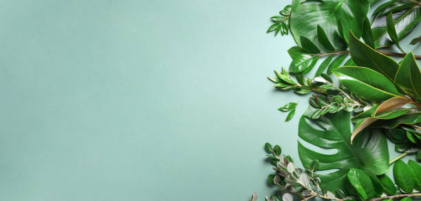 istock Tropical leaf frame on green background with copy space. Flat lay. Top view. Summer or spring nature concept. Leaves mock up 1154316926