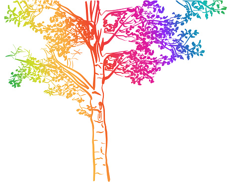 Drawing of a poplar tree illustration