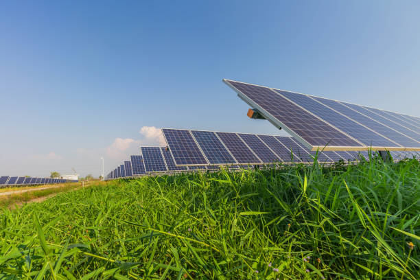 istock Solar panel, alternative electricity source, concept of sustainable resources, And this is a new system that can generate electricity more than the original, This's the sun tracking systems 1154318365