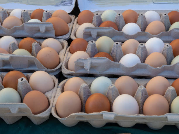 istock Brown and white eggs sitting in dozen count cartons sitting 1154323361
