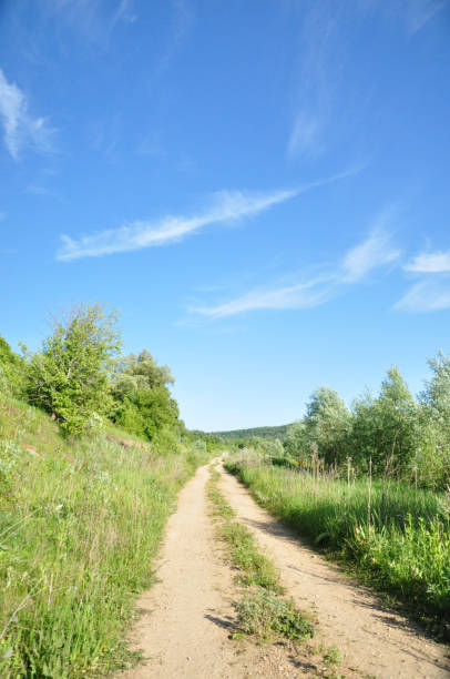 istock Countryside road on a sunny day 1154323475