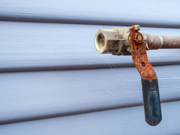 istock Rusty handle at the end of an open pipe covered in cobwebs outside 1154323781