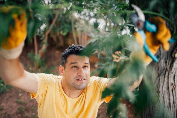 istock gardener working in garden 1154324577