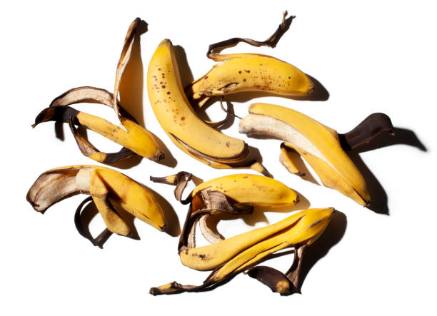 Rotten bananas on white background Banana peels on white background. bruised fruit stock pictures, royalty-free photos & images