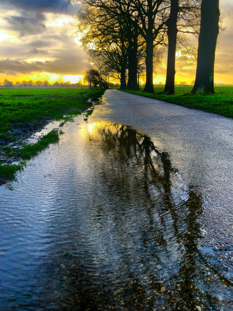 istock Cloudy sky in a rural landscape reflected in a puddle 1154324727