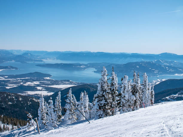 シュバイツァー山は湖の上に凍った木 orielle フェスティバルアイダホ州 - idaho mountains �ストックフォトと画像