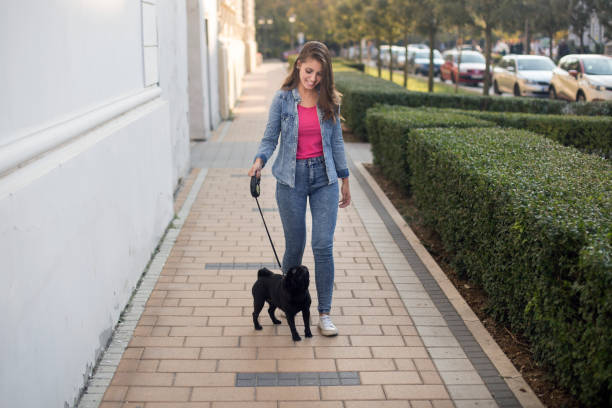 istock Woman walking her dog 1154325715